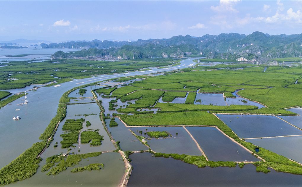 Giới thiệu về quần đảo Cát Bà — cẩm nang Cát Bà