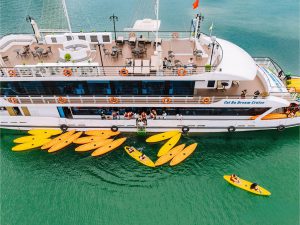 Tour nửa ngày ngắm hoàng hôn du thuyền Dream