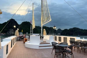 Tour 1 ngày du thuyền dream dinner