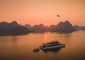 Tour nửa ngày ngắm hoàng hôn du thuyền catamaran